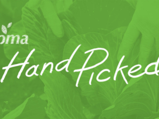 PMA Hand Picked Newsletter